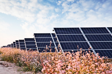 中國華能的“高性價比”光伏電站，妙招在這里！